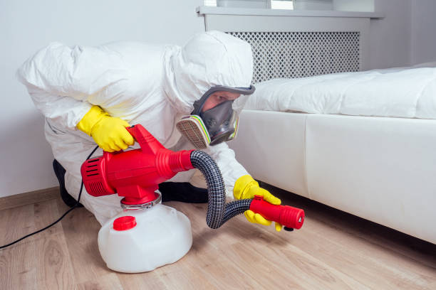 Professional Pest Control in Rossford, OH